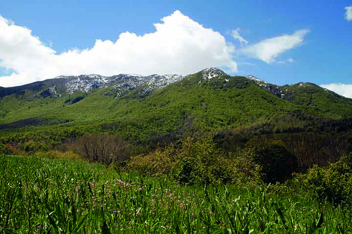 Parque Natural Montseny - Andoni Canela