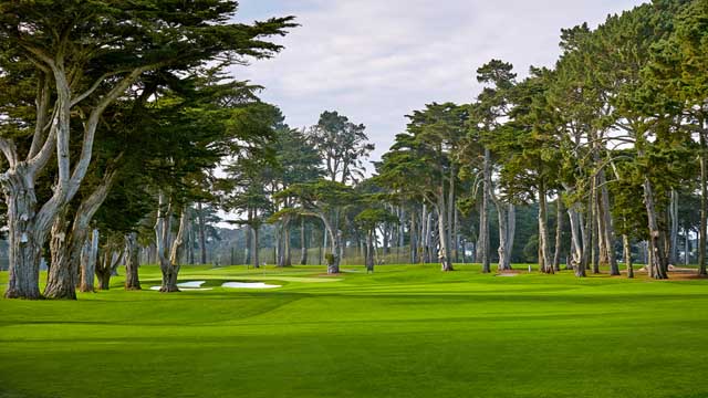 Harding Park, la resurrección de un gran diseño