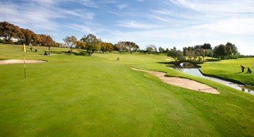 Comienza la reforma del campo de golf de Las Brisas