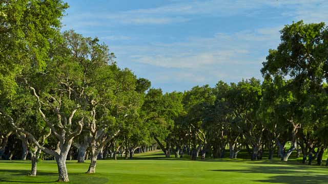 Guía de especificaciones técnicas  del Gobierno para los campos de golf