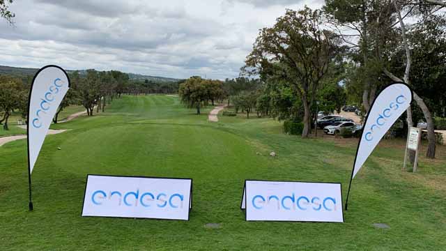 Copa Javier Arana - Premio Endesa