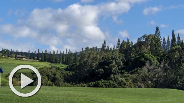 Los mejores golpes en Hawaii para empezar el año