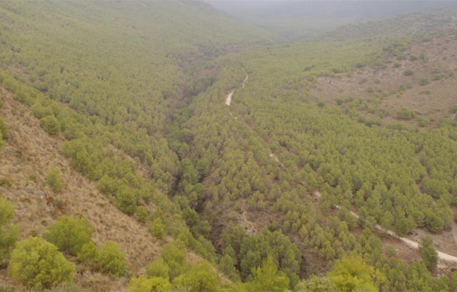 Los ecologista en contra del campo de Nerja