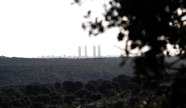 La Comunidad construirá un campo en una finca protegida