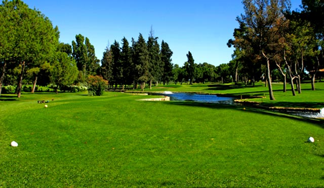 Toreros y Ganaderos juegan al golf por una causa solidaria