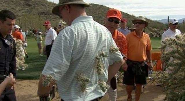 Fan atacado por un cactus, tras un golpe de McIlroy