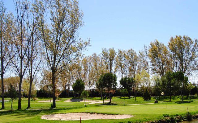 Participación de récord en Negralejo Golf