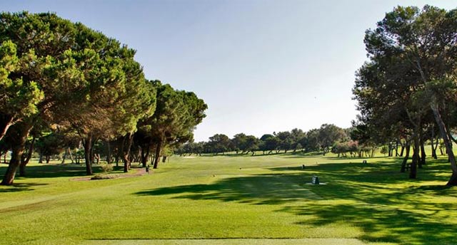 Hoy jugamos: el hoyo 7 del Real Club de Sotogrande