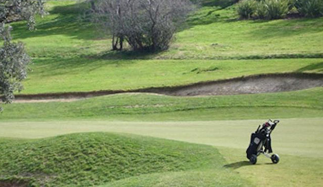 Ya está en marcha la Copa Príncipe de Asturias 2013