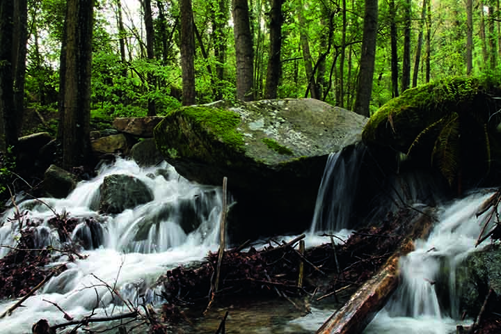 Parque Natural del Montseny - Andoni Canela - ACT