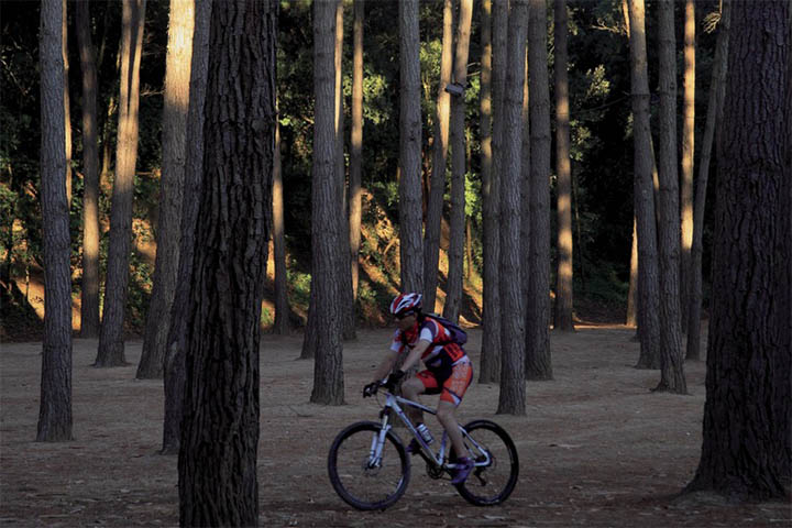 Ruta BTT en el Parque Natural del Montnegre i el Corredor - ACT