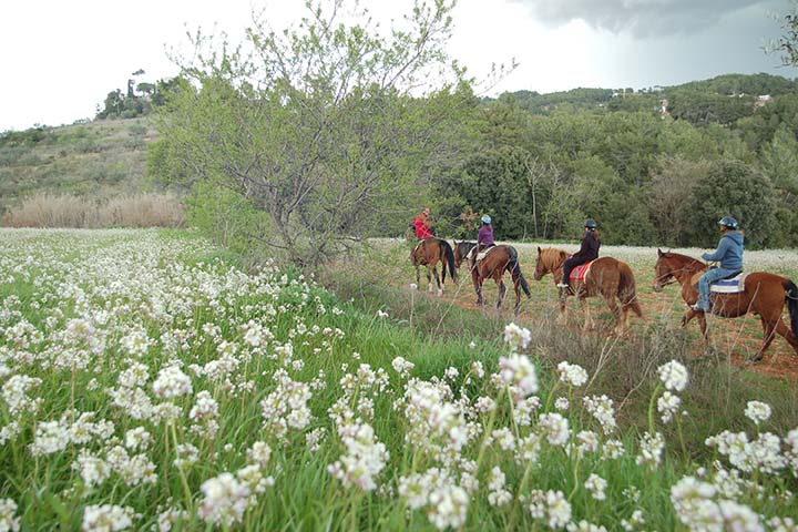 Rutas a caballo por el Vallès - Diputación de Barcelona