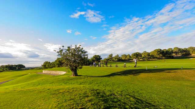 Las Colinas Golf & Country Club, propone mejorar tu juego de forma personalizada