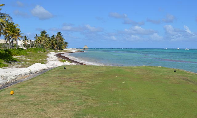 Golf  y naturaleza en La Cana Golf Resort