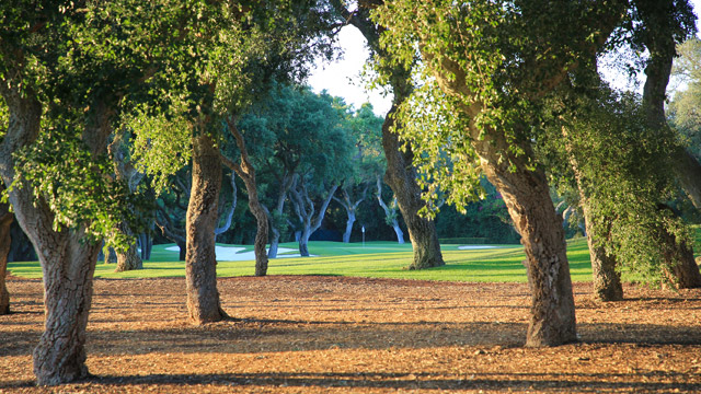 El Real Club Valderrama, ejemplo de compromiso medioambiental