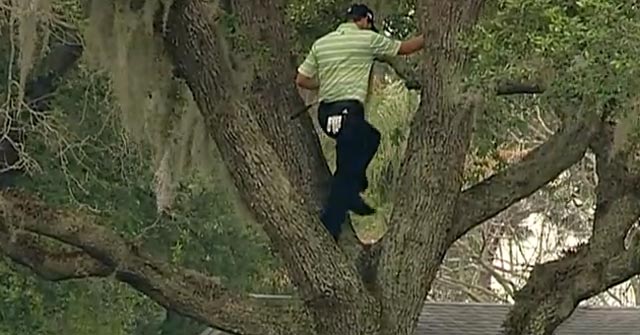 Sergio García golpea su bola desde un árbol