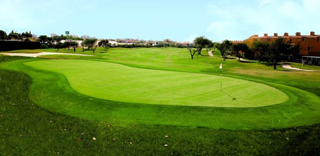 Alicante Golf rugirá con el torneo Honda-Prim Levante