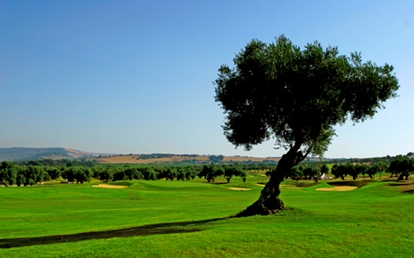 Torneo de Golf a beneficio de AMREF Flying Doctors