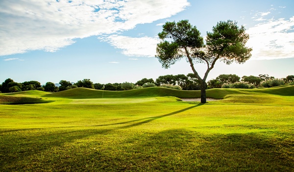 Club de Golf Terramar