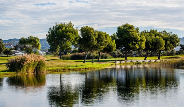 Campo de terramar