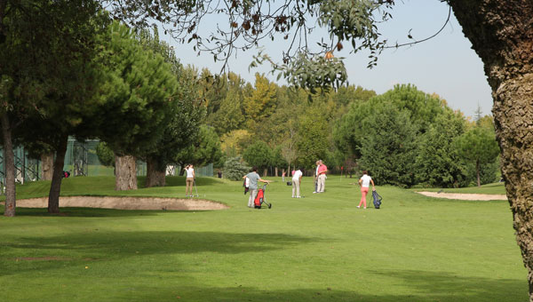 Campo Federación Madrileña Golf Circuito Madrid Profesionales