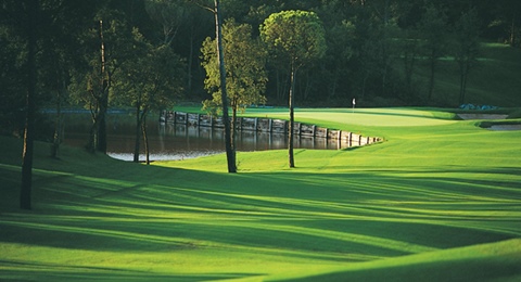 Consigue la Guía Oficial de Campos de Golf