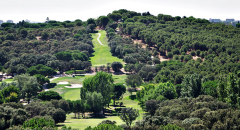 La Copa Javier Arana - Premio Endesa llega al Club de Campo Villa de Madrid