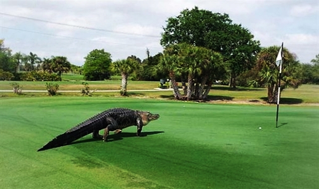 Ven a Golf Negralejo en noviembre y disfruta de una gran promoción