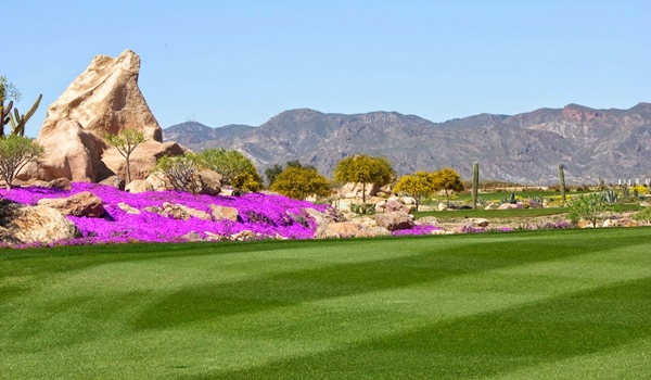 Desert Springs Almería