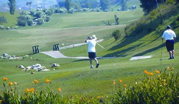 Fauna y flora costa del golf