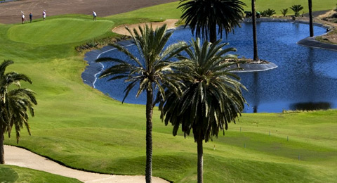 Cita canaria valedera para el Ranking Mundial Amateur