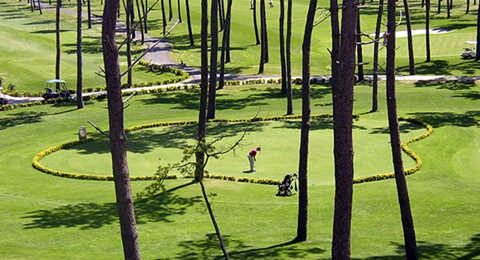 El proyecto 'Golf en los Colegios' toma Galicia