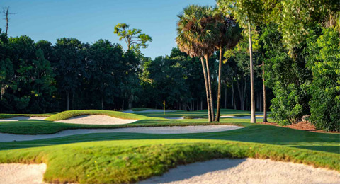 Arranca la temporada 2020 del LPGA Tour