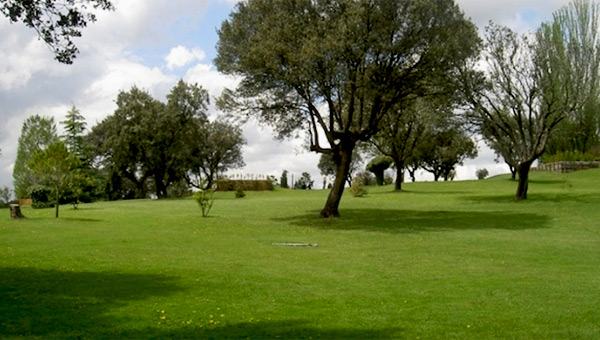 Las Encinas Boadilla Golf