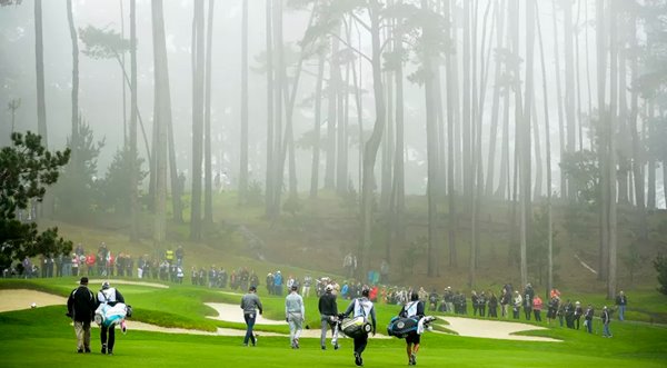 Niebla Pebble Beach