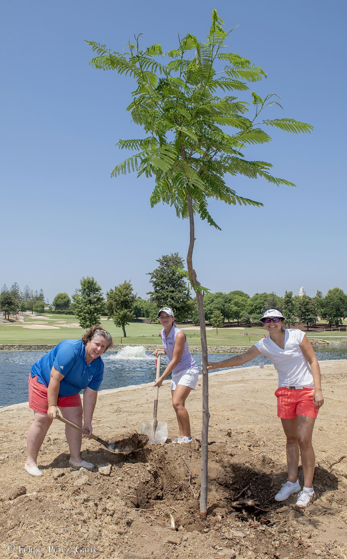 Plantación árbol Santander Tour en Santander