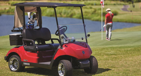 ¿Cómo se pueden utilizar los buggies en los campos?