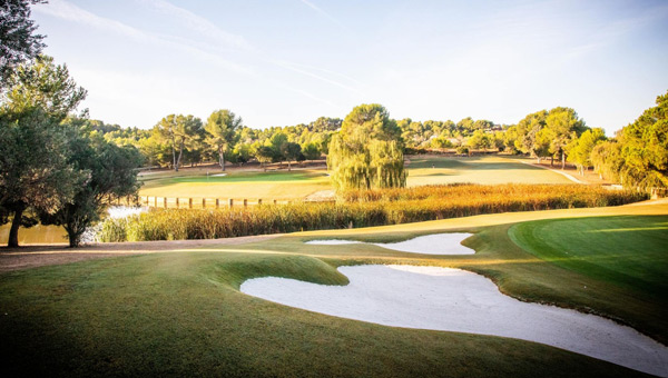 Renovación Golf El Bosque reapertura campo