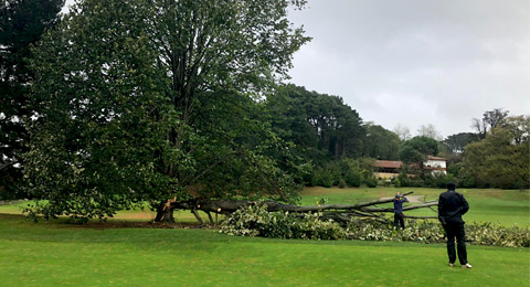 La madre naturaleza puede con el golf