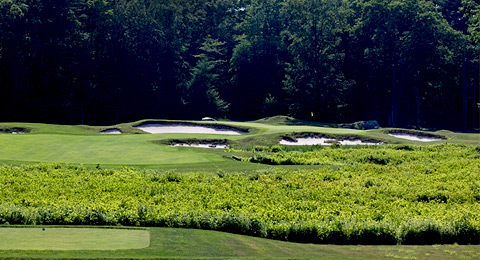 Llega a Boston el Dell Technologies Championship, segundo playoff de la FedEx Cup