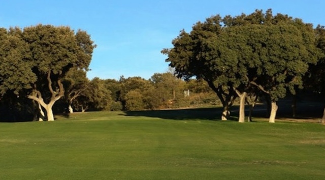 La cantera de Madrid cosecha grandes éxitos