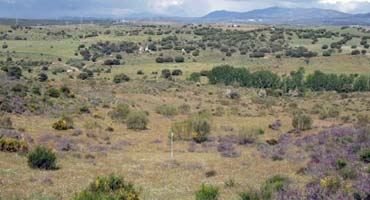 Se investigará la construcción de un campo de golf en la Finca Valdeloshielos